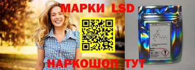 гашик Гатчина