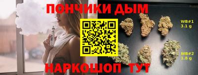 гашик Гай