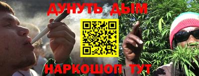 гашик Гатчина