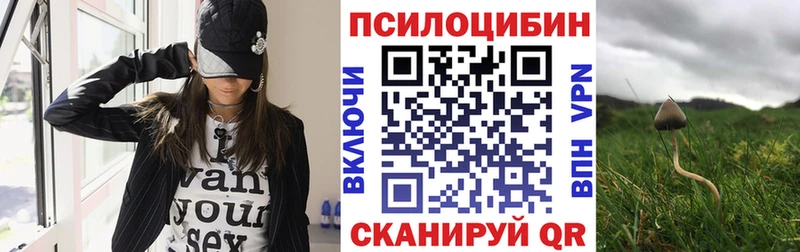 MEGA зеркало  Кемерово  Псилоцибиновые грибы Cubensis 